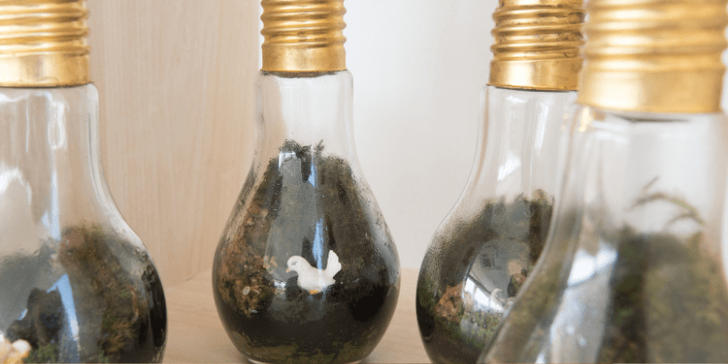 Mini terrario de bombillas de bricolaje |  Fácil de renovar