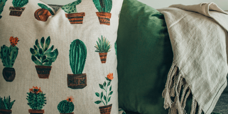 Cojines pintados a mano suculentas y cactus |  Fácil de renovar