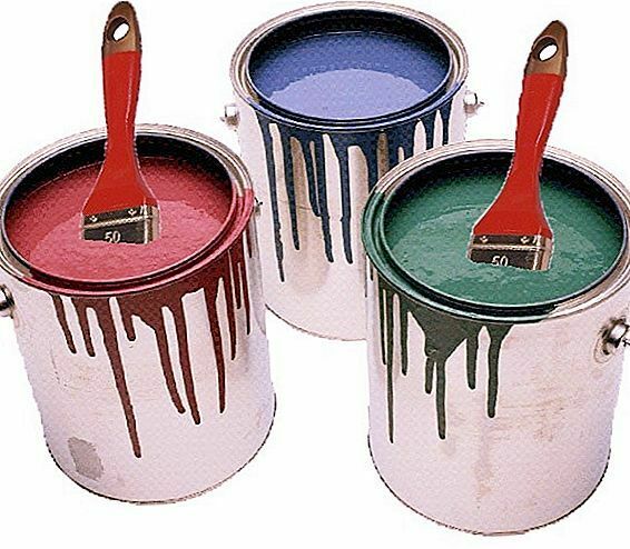 Cómo elegir pintura para pintar en casa.
