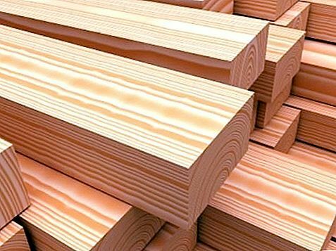 Cómo elegir la madera - Materiales de construcción 2022