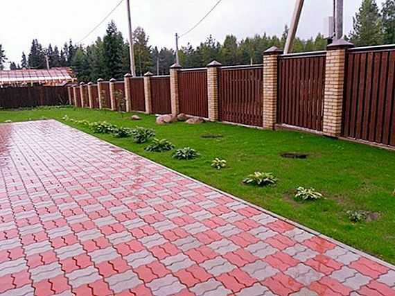 ¿Qué azulejos son adecuados para la instalación en el patio de la casa?